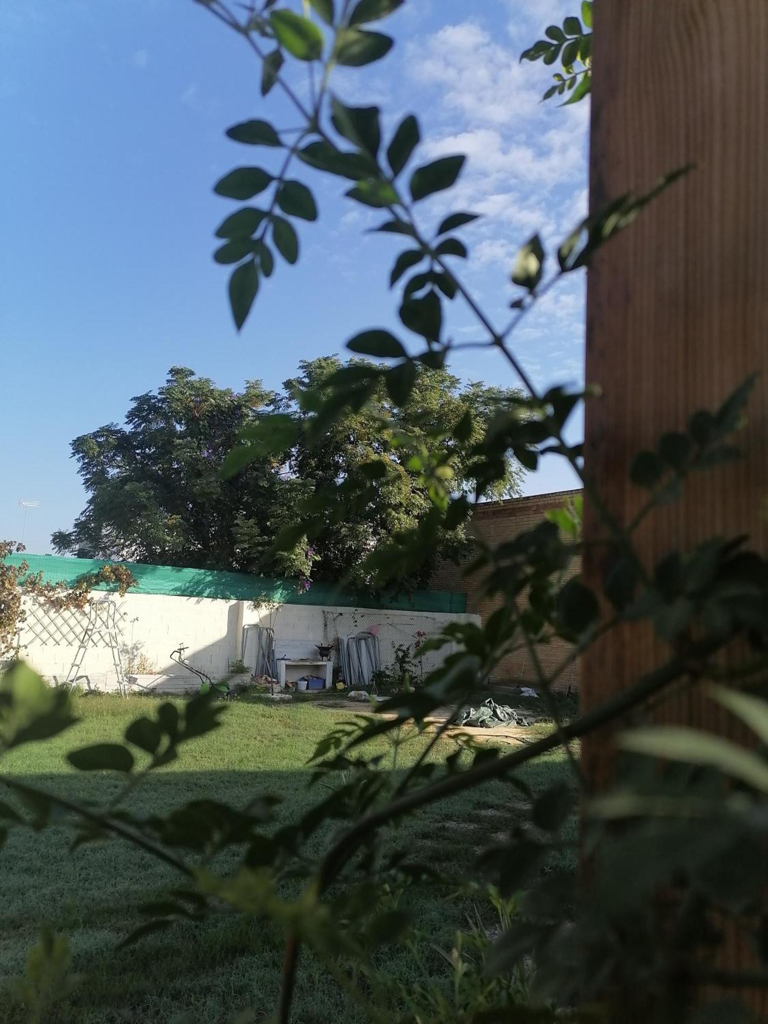 Cabana El Salto Del Duende Carrion de Los Cespedes Exterior foto